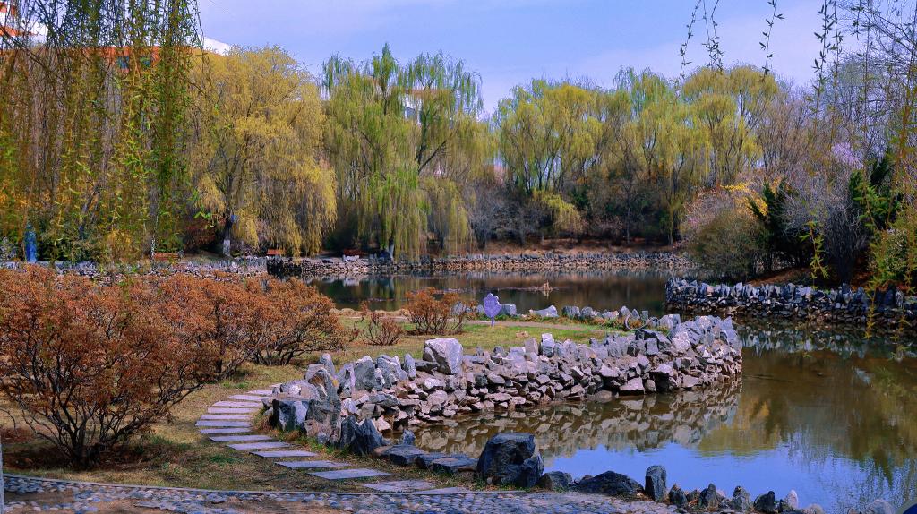 校園春景