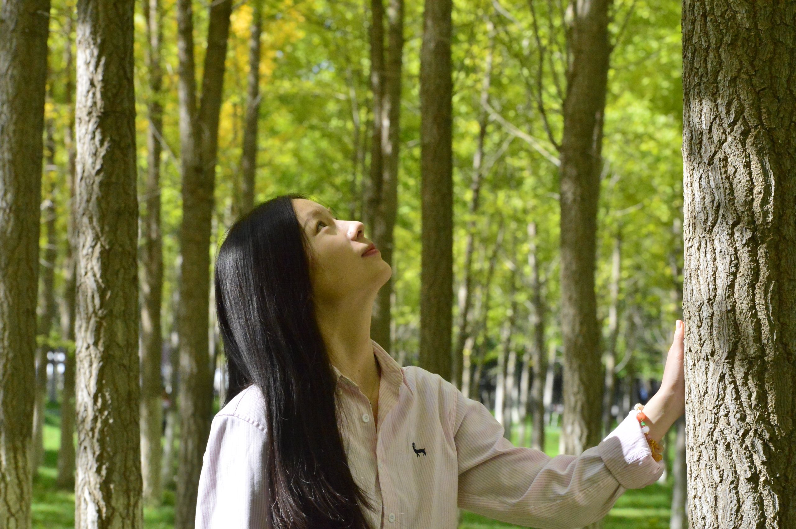 一葉知秋 滿園如畫