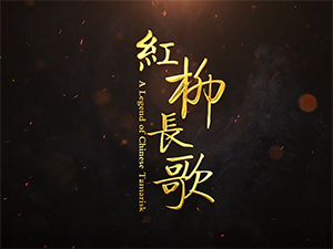紅柳長歌　